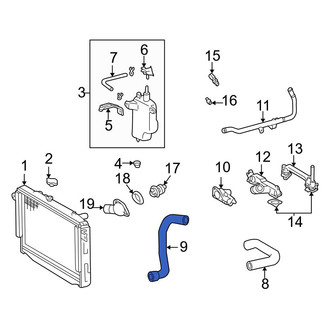 Toyota OE - Lower Radiator Coolant Hose
