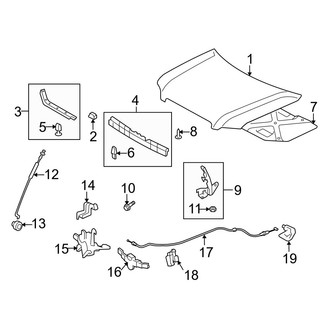 Toyota OE - Hood & Components (FULL HYBRID EV-GAS (FHEV))