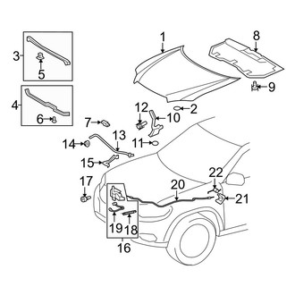 Toyota OE - Hood & Components (FULL HYBRID EV-GAS (FHEV))