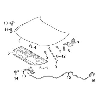 Toyota OE - Hood & Components