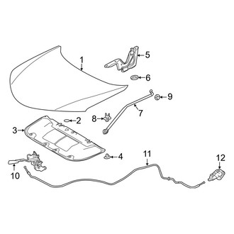 Toyota OE - Hood & Components (FULL HYBRID EV-GAS (FHEV) / Gas)