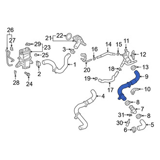 Toyota OE - Left Radiator Coolant Hose