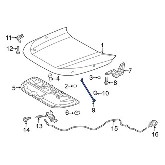 Toyota OE - Front Hood & Trunk Prop Rod