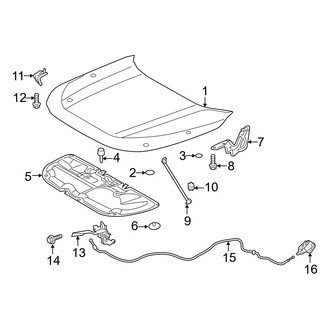Toyota OE - Hood & Components