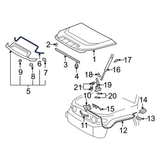 Toyota OE - Front Hood Scoop Gasket