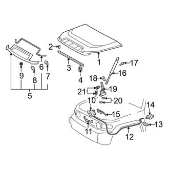 Toyota OE - Door Molding Gasket