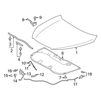 Toyota OE - Front Hood & Trunk Prop Rod