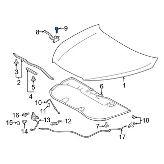 Toyota OE - Hood Hinge Bolt