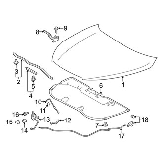 Toyota OE - Hood & Components