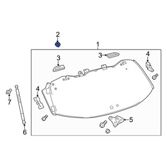 Toyota OE - Rear Door Hinge Nut