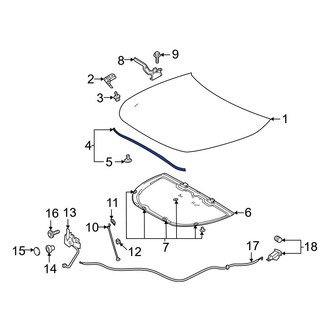 Toyota OE - Front Hood Seal