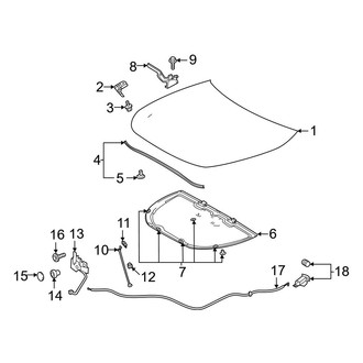 Toyota OE - Hood & Components