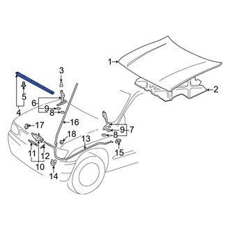 Toyota OE - Front Hood Seal
