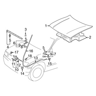 Toyota OE - Hood & Components