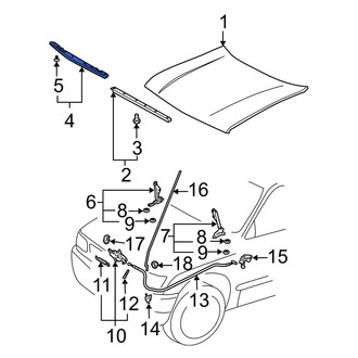 Toyota OE - Front Outer Hood Seal
