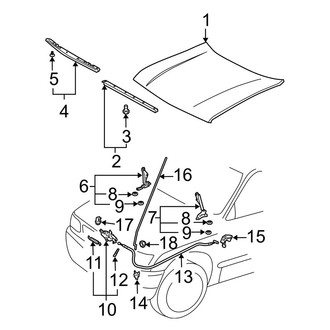 Toyota OE - Hood & Components