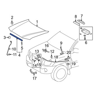 Toyota OE - Front Hood Seal