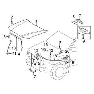 Toyota OE - Hood & Components