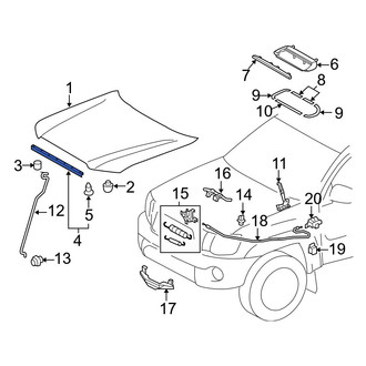 Toyota OE - Front Hood Seal