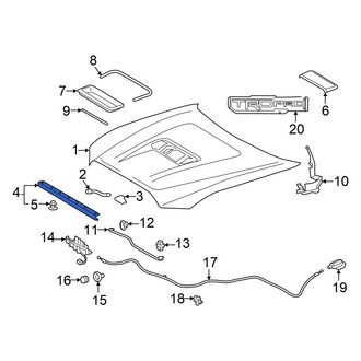 Toyota OE - Front Hood Seal