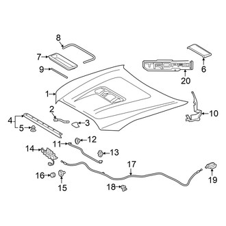 Toyota OE - Hood & Components