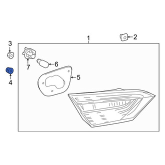 Toyota OE - Back Up Light Assembly Nut