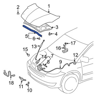 Toyota OE - Front Hood Seal