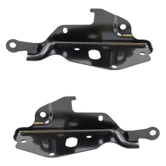 TRQ® - Driver and Passenger Side Hood Hinges