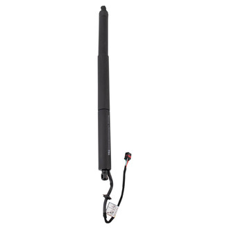 TRQ® - Driver or Passenger Side Liftgate Lift Support