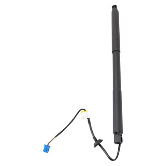 TRQ® - Liftgate Lift Support