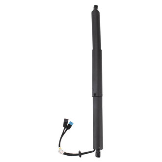 TRQ® - Driver or Passenger Side Liftgate Lift Support