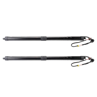 TRQ® - Liftgate Lift Support Set