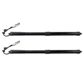 TRQ® - Liftgate Lift Support Set