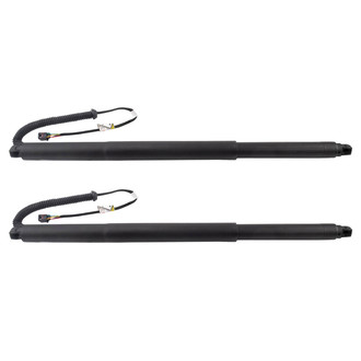 TRQ® - Driver and Passenger Side Liftgate Lift Support Set