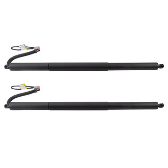 TRQ® - Liftgate Lift Support Set