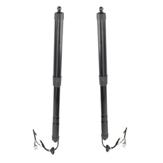 TRQ® - Power Liftgate Actuator Set