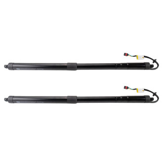 TRQ® - Liftgate Lift Support Set