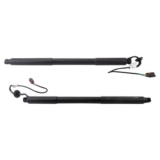 TRQ® - Liftgate Lift Support Set