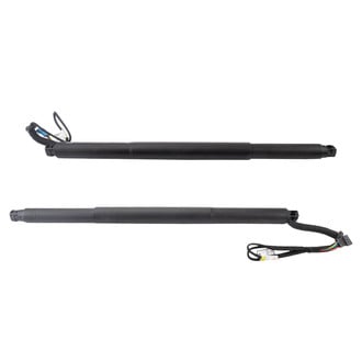 TRQ® - Liftgate Lift Support Set