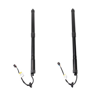 TRQ® - Liftgate Lift Support Set