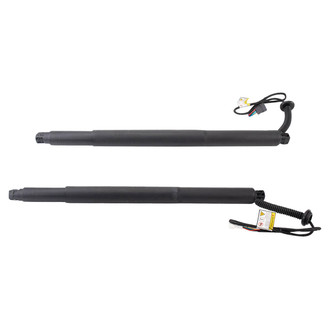 TRQ® - Liftgate Lift Support Set