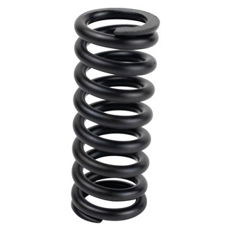 TRQ® - Front Upper Driver or Passenger Side Door Hinge Spring