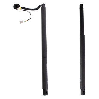 TRQ® - Driver and Passenger Side Liftgate Lift Support Set