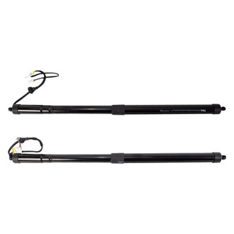 TRQ® - Driver and Passenger Side Liftgate Lift Support Set
