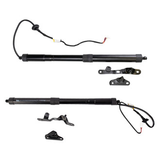 TRQ® - Driver and Passenger Side Liftgate Lift Support Set