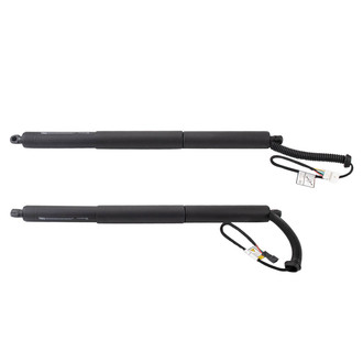 TRQ® - Liftgate Lift Support Set