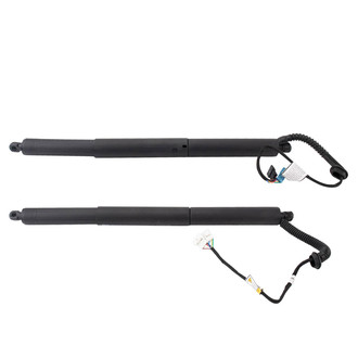 TRQ® - Liftgate Lift Support Set