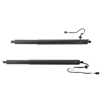 TRQ® - Liftgate Lift Support Set