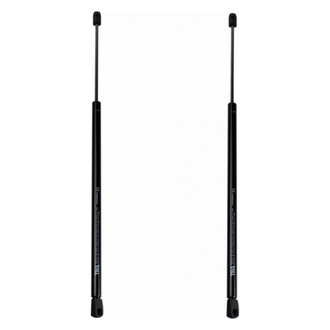 TRQ® - Driver and Passenger Side Back Glass Lift Support Set