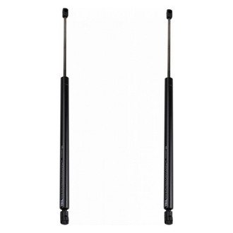 TRQ® - Driver and Passenger Side Liftgate Lift Support Set